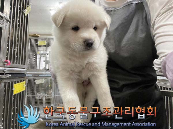 종료(자연사) 믹스…